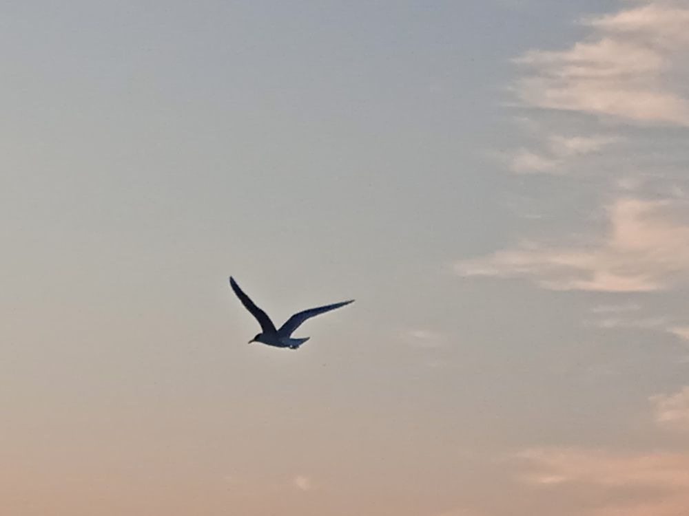 Photograph by Фёдор Викторович