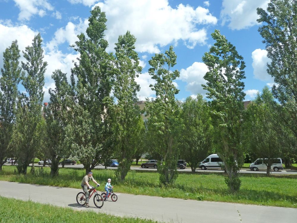 Фотография автора Клавдия Васильева