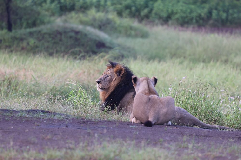 Photograph by Dr. Karim Kadiwar