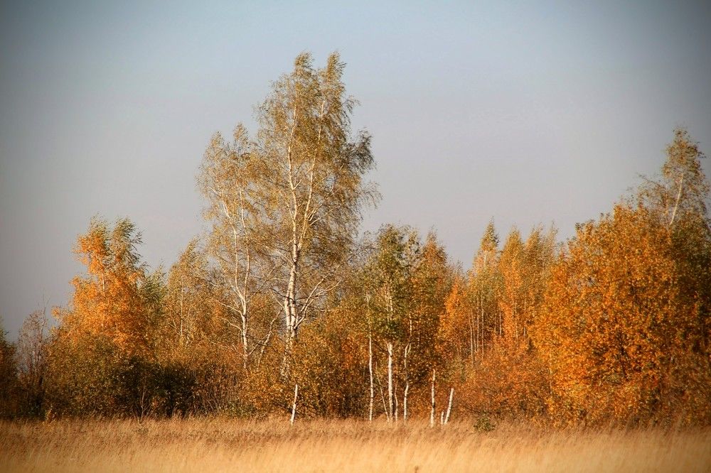 Photograph by Илья Воякин