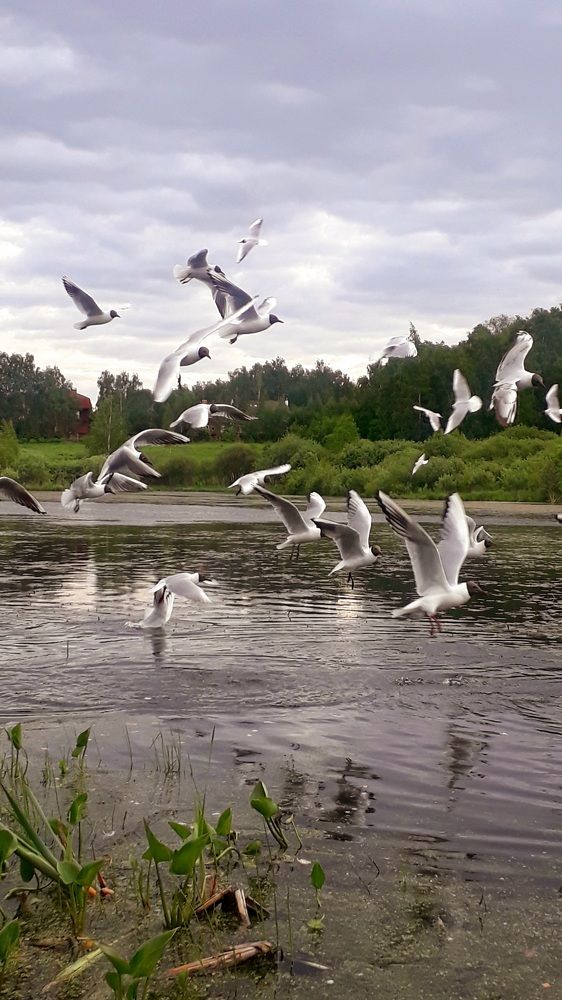 Photograph by Яна