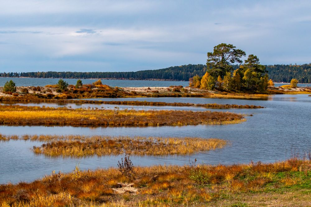 Photograph by Геннадий Лосев