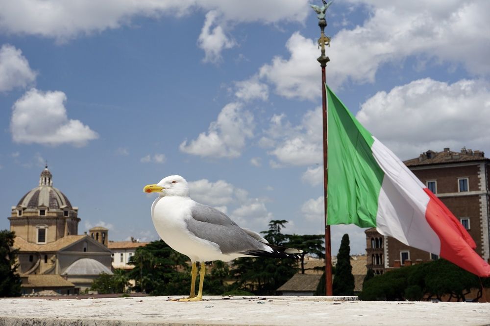 Фотография автора Liudmila Kiermeier