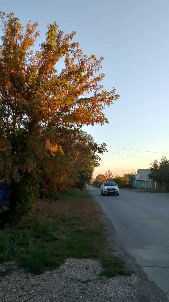 Фотография автора Гольназ