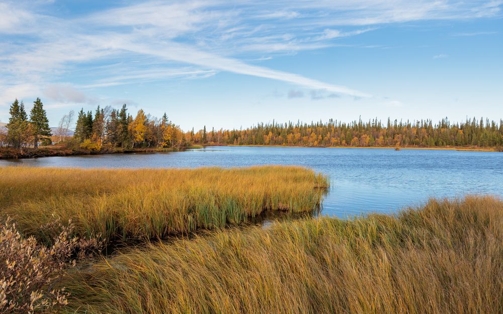 Фотография автора Андрей Русских
