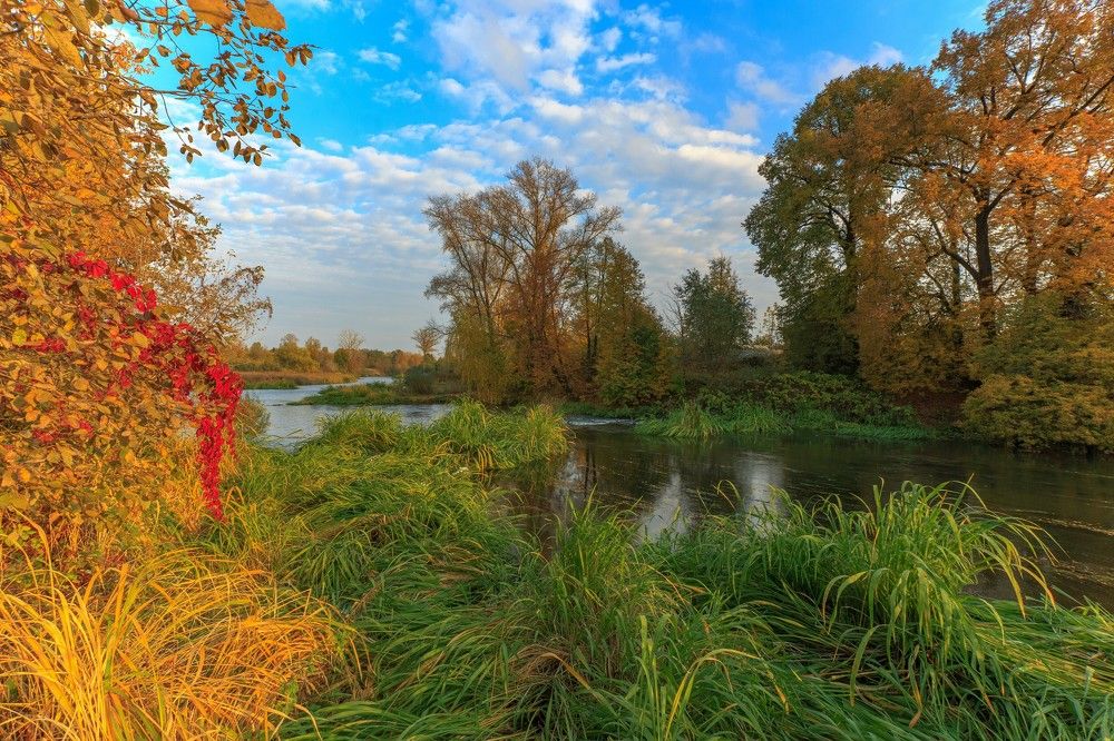 Photograph by Александр Литвинов