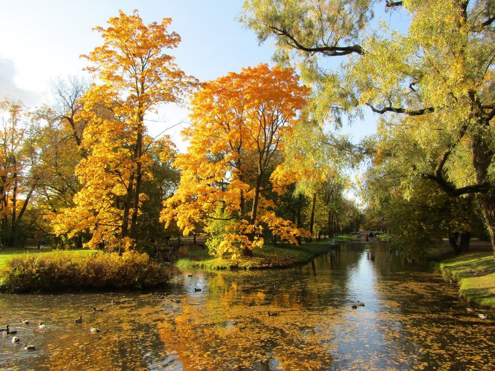 Photograph by Татьяна Смирнова