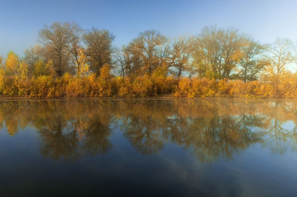 Photograph by Евгения Севрюкова