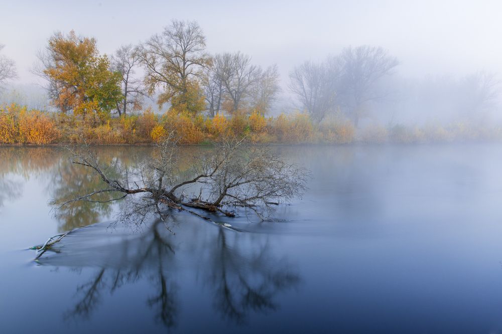 Photograph by Евгения Севрюкова