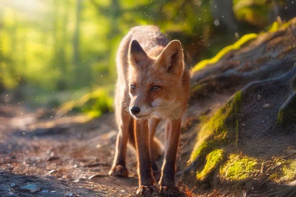 Photograph by Вероника Романенко