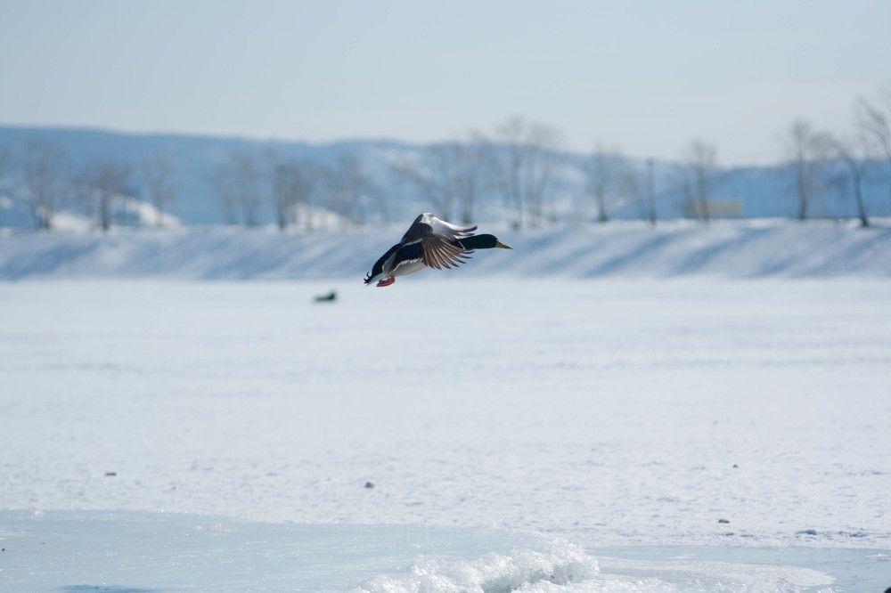 Photograph by Анна Абрамова