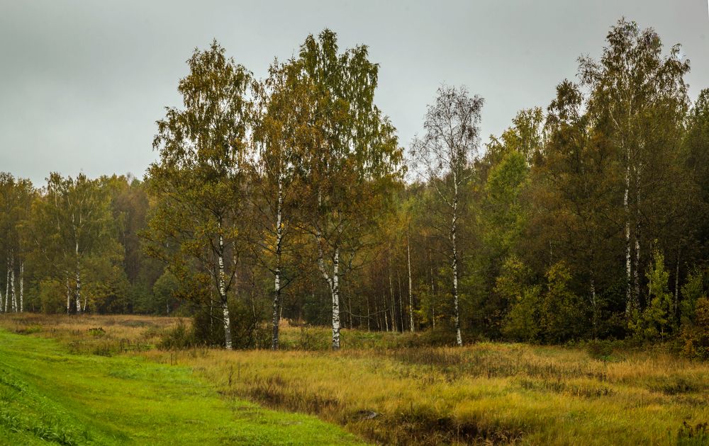 Photograph by Игорь Сидун