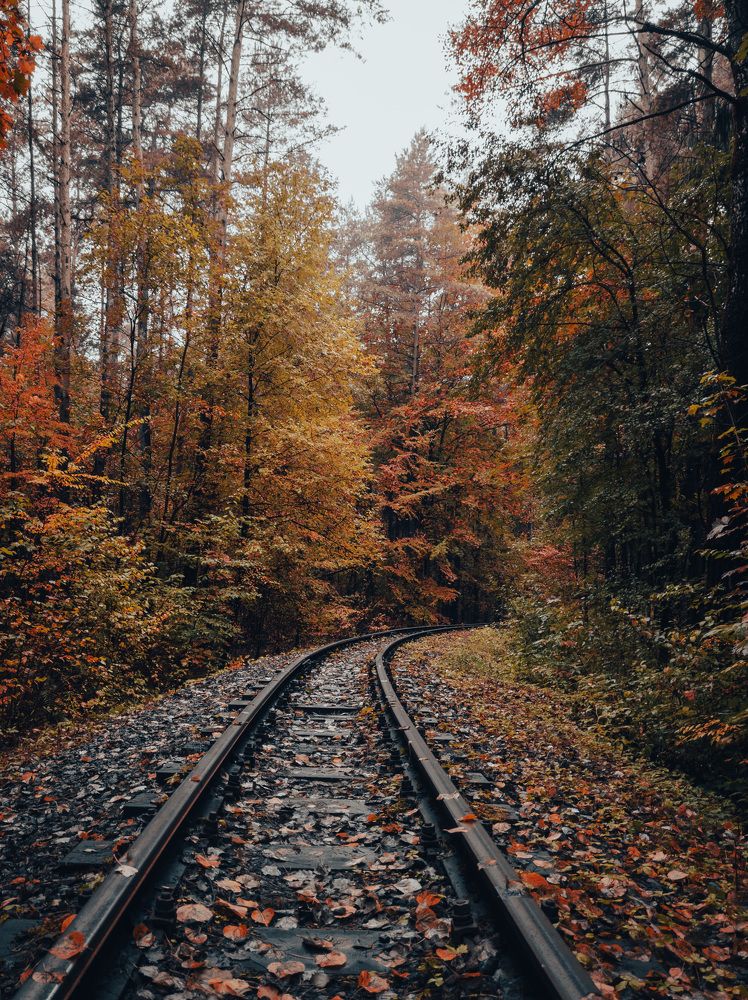 Фотография автора Геннадий Ломеко