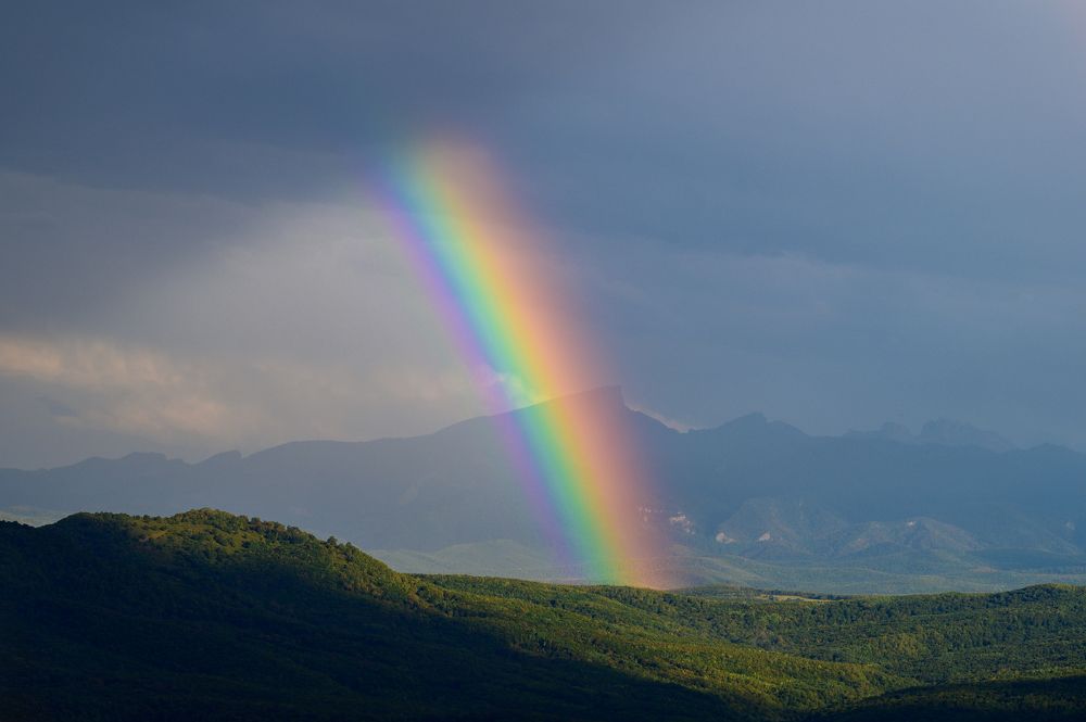Фотография автора Владимир Глинский