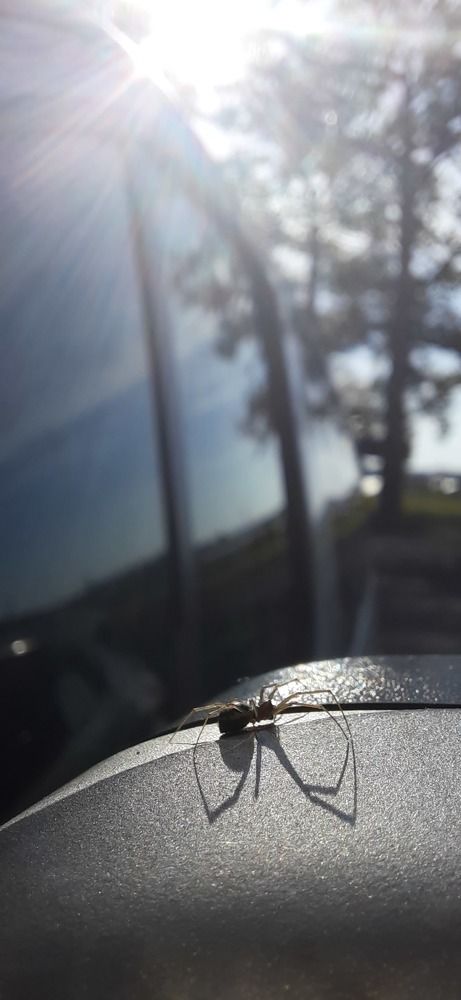 Photograph by sameera madushantha