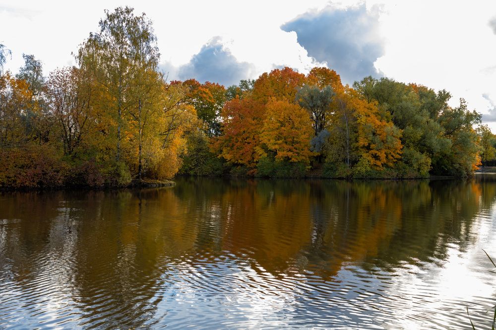 Photograph by Olga Min