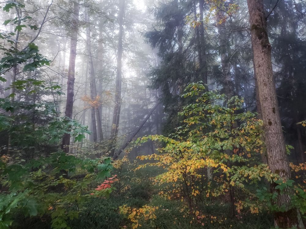 Photograph by Илья Воякин