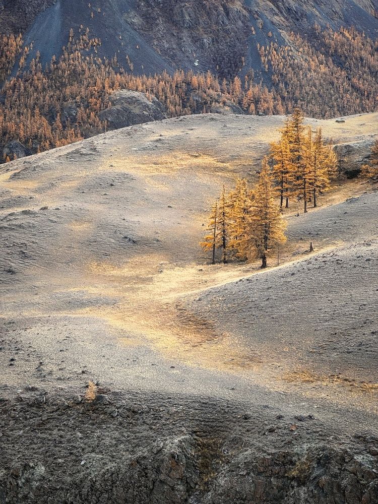 Photograph by Мозжухин Максим