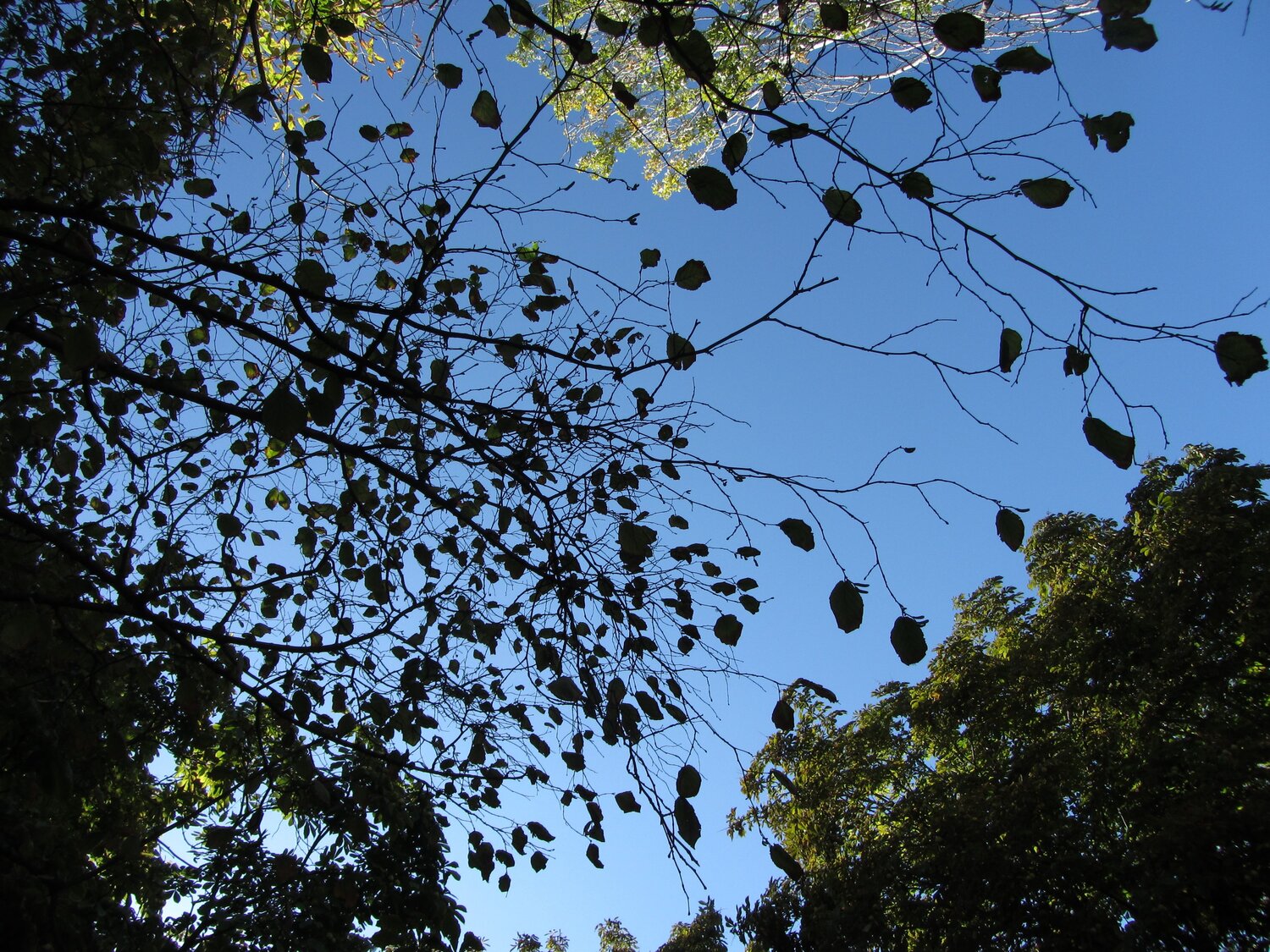 Photo #11159615