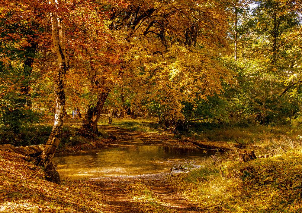 Photograph by Будаква Сергей