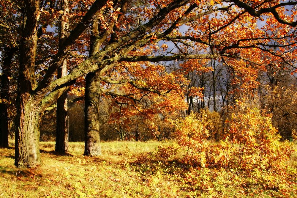 Photograph by Жиляев Евгений