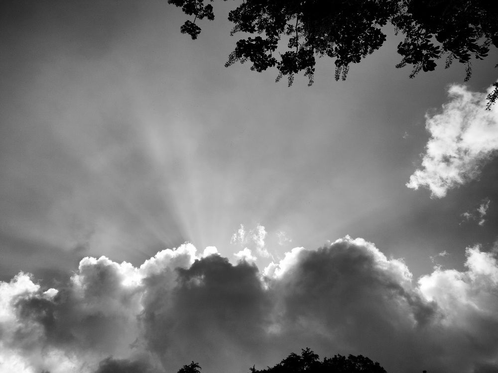 Photograph by Khushi Vashisth