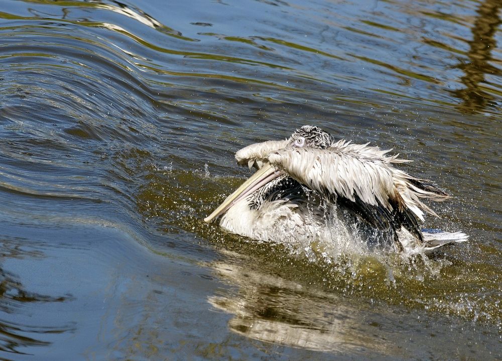 Photograph by Жиляев Евгений