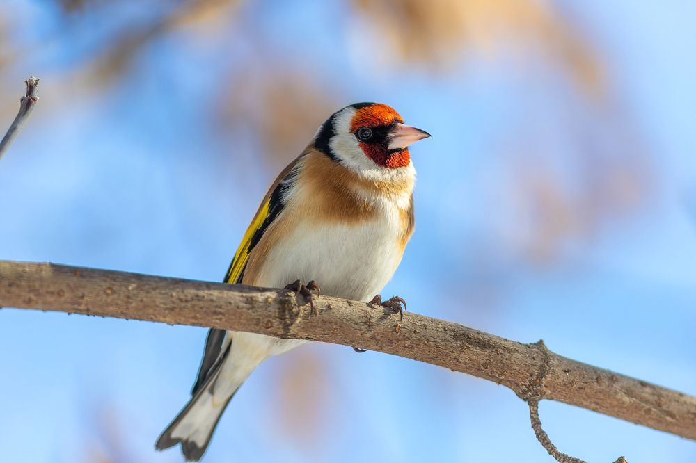 Photograph by Евгения Севрюкова