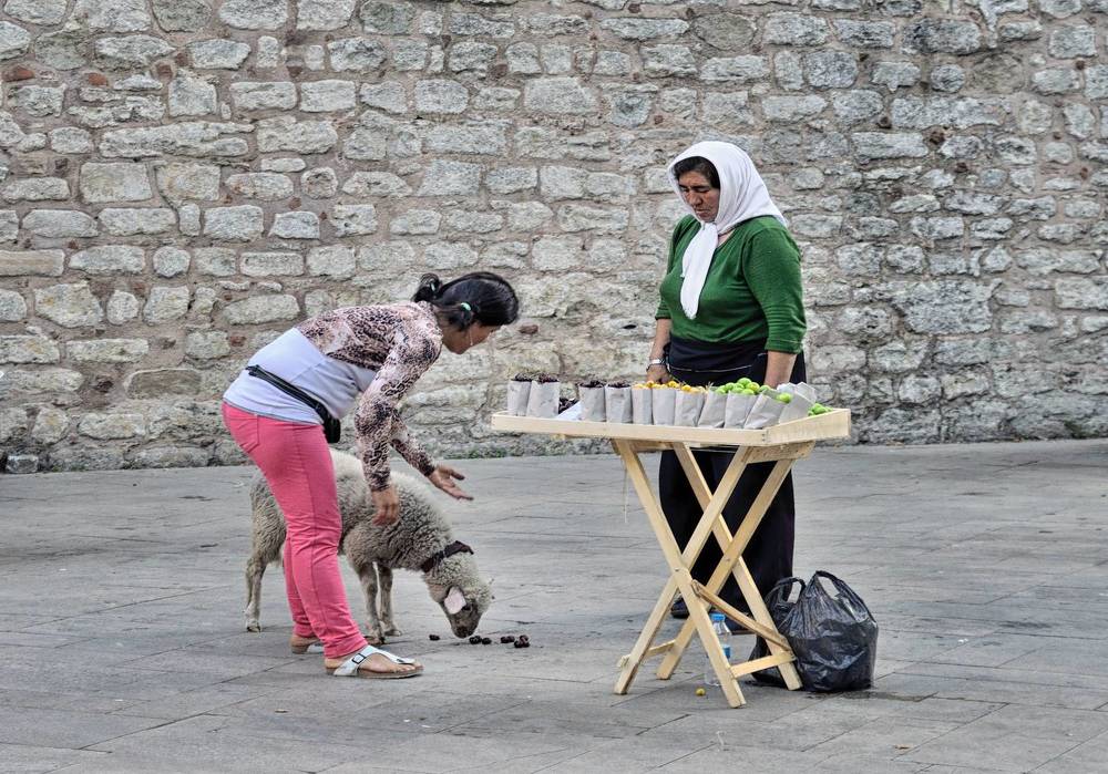 Photograph by Bekir Yesiltas