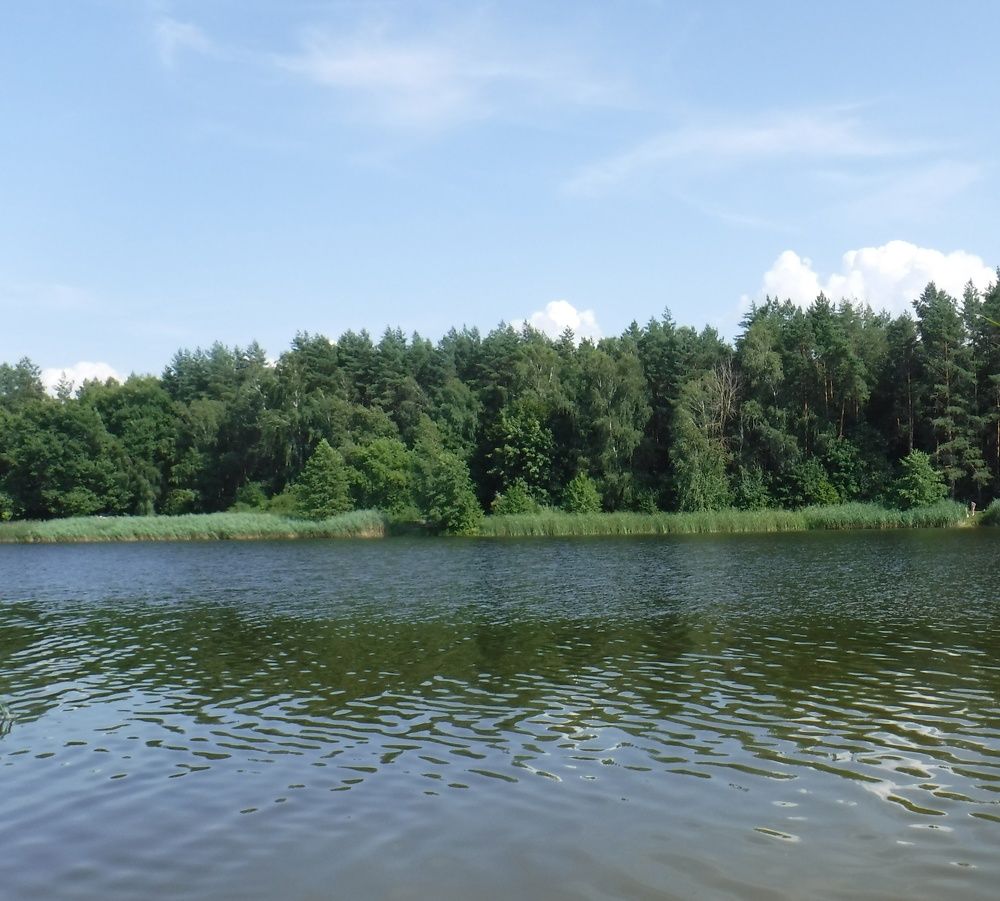 Photograph by Елена Сухорученкова