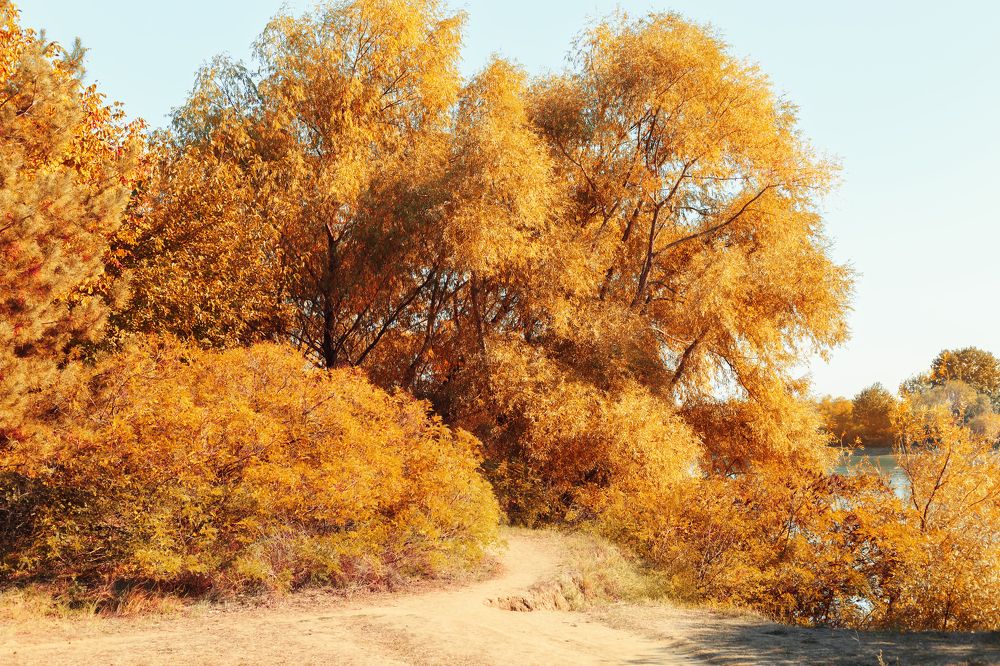 Фотография автора Анастасия Лапта