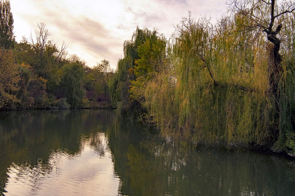 Photograph by Александр Грищенко