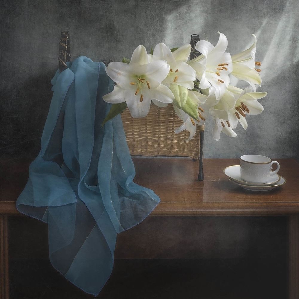 Photograph by Солодар Виктория