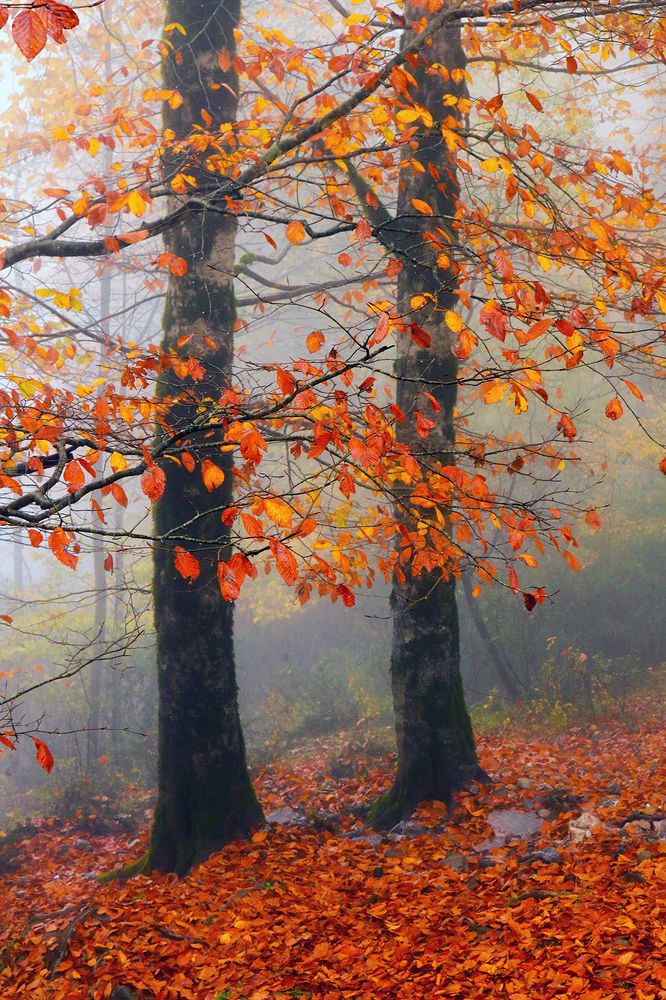 Photograph by Zahra jouri