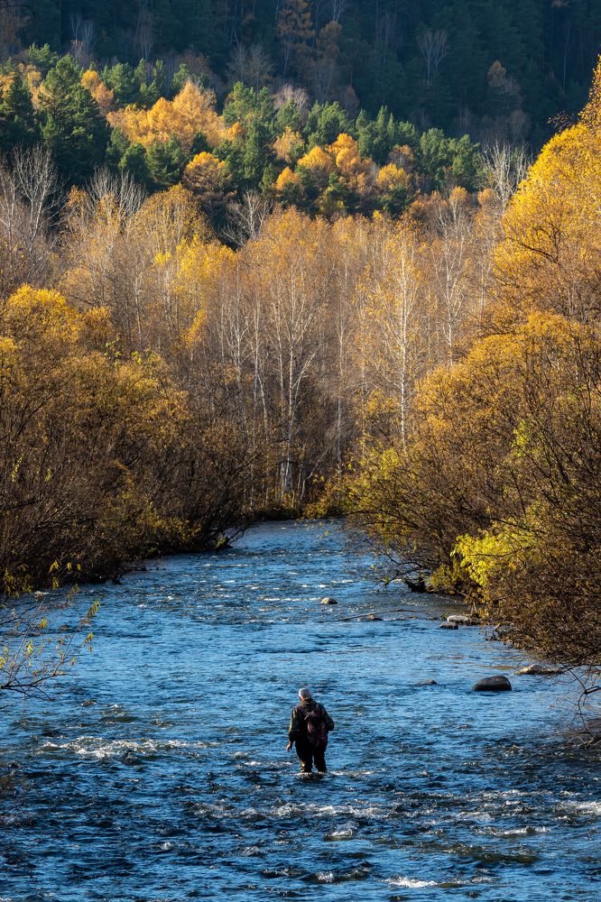 Photograph by Андрей Давыдов