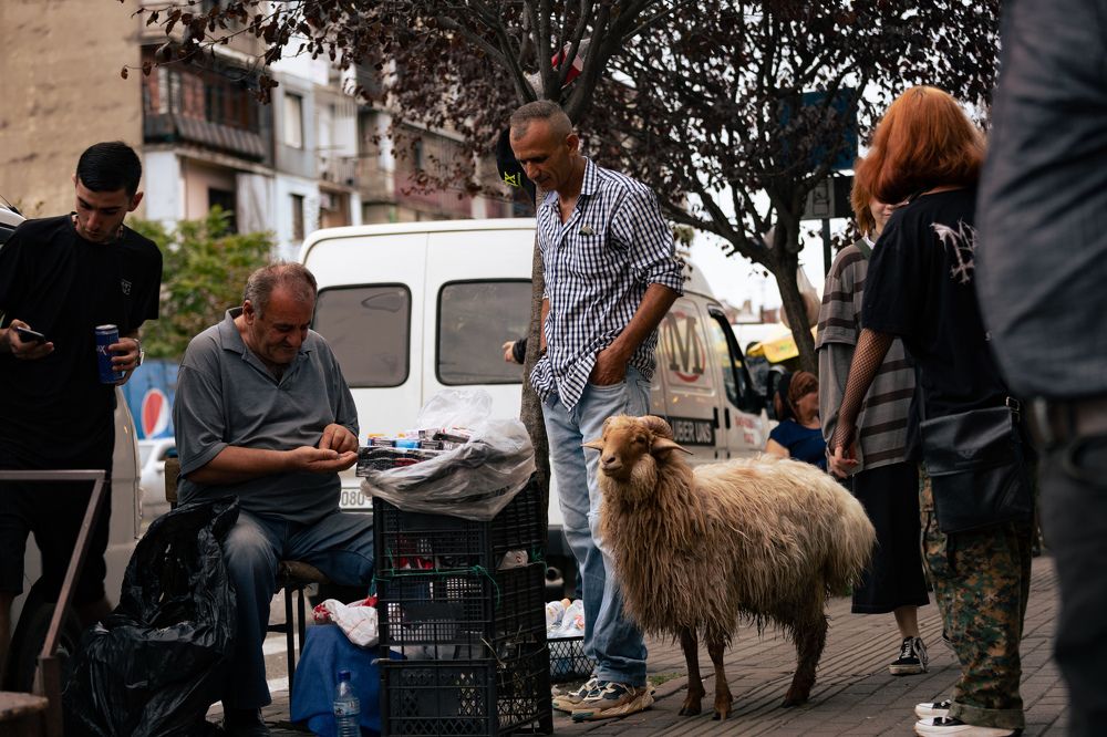 Photograph by Siarhei Saladukhin