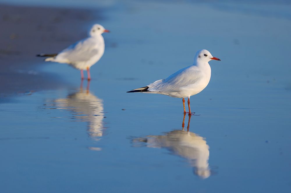 Photograph by Natalia Antipas