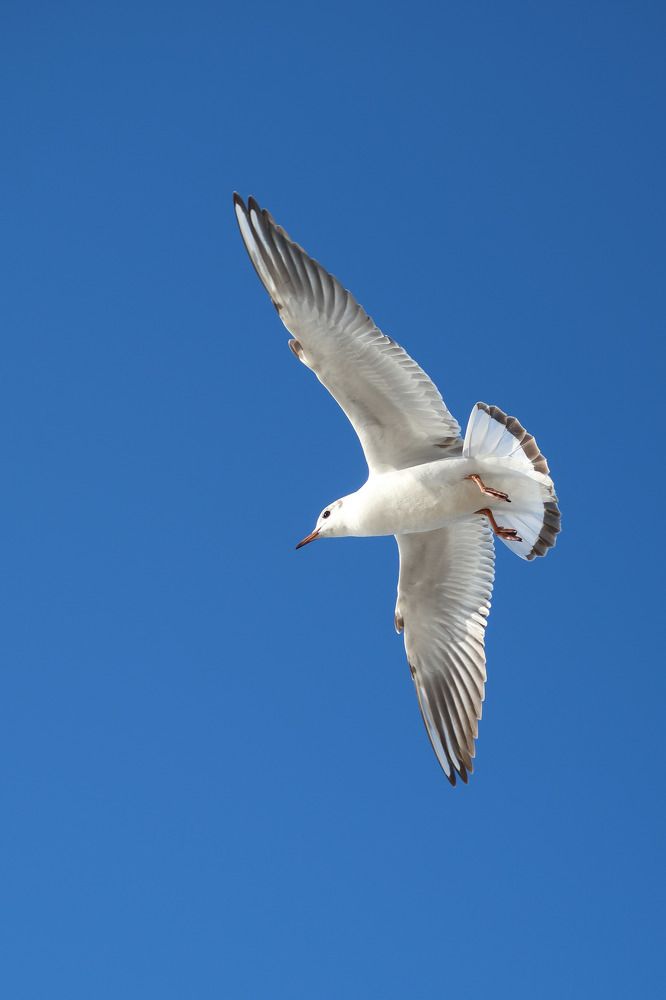 Photograph by Ирина Моругина