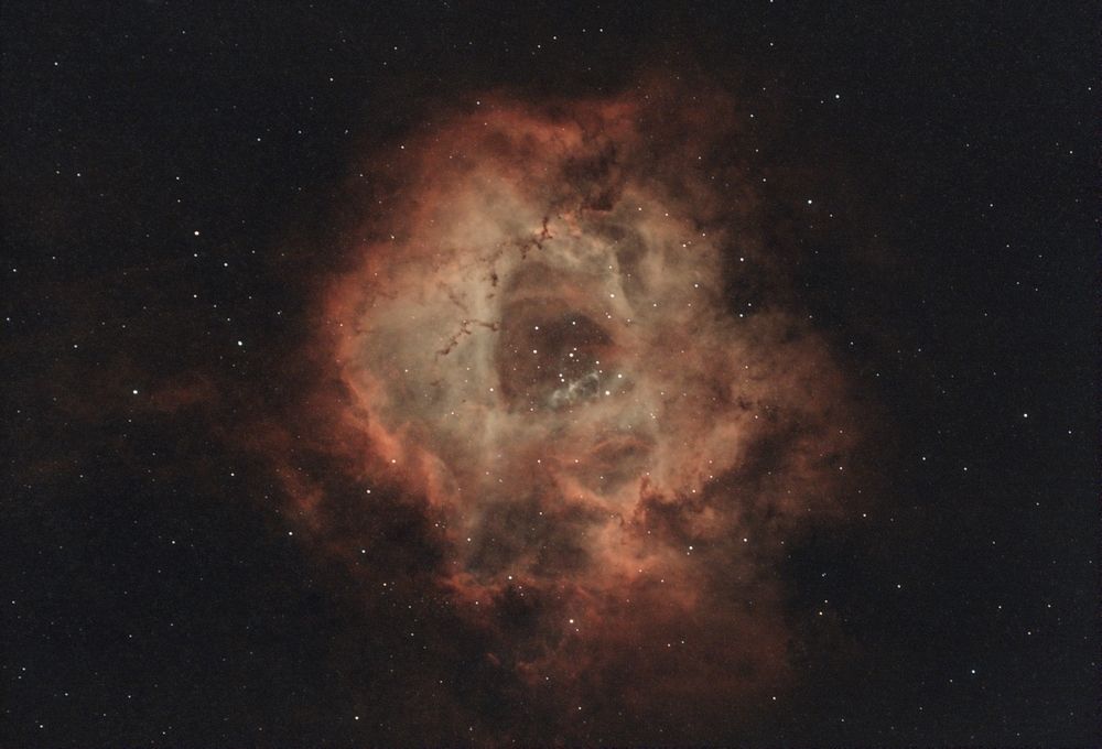 The Rosette Nebula
