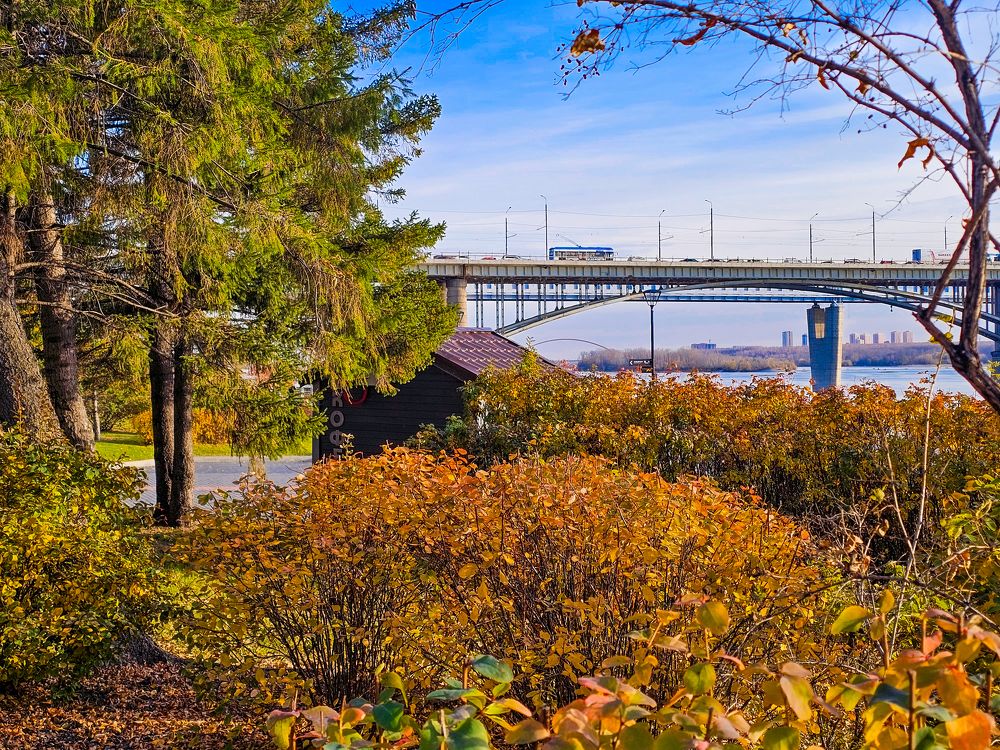 Фотография автора Максим Грибанов