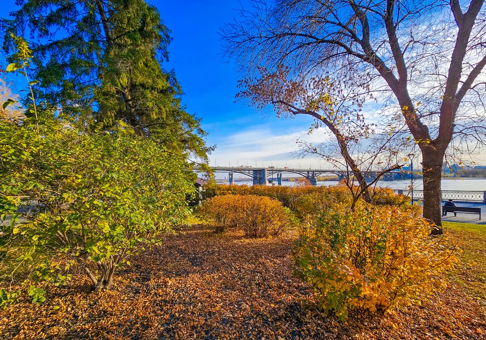 Фотография автора Максим Грибанов