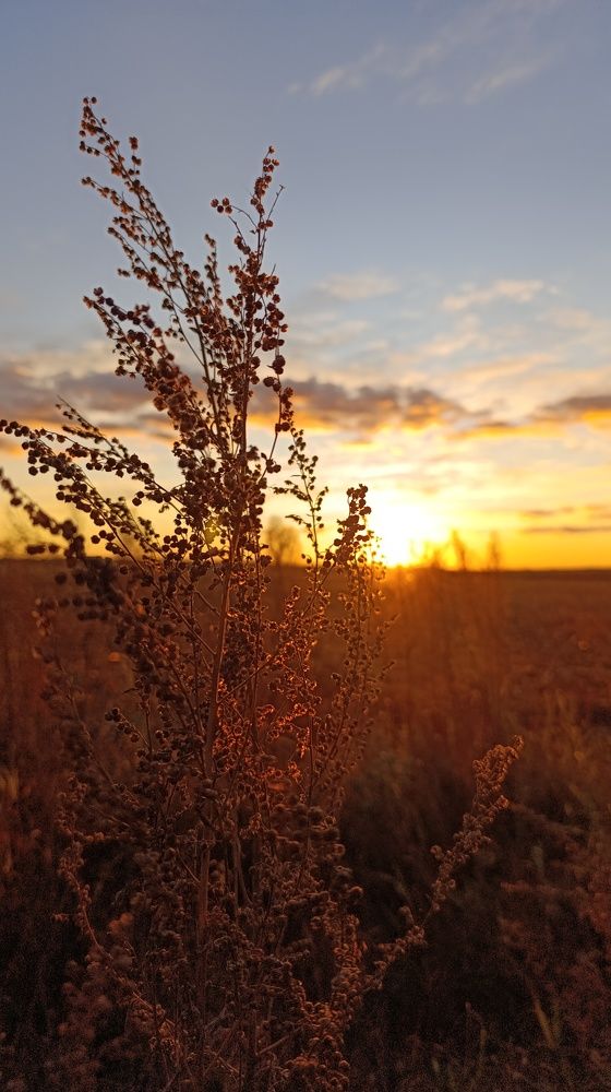 Фотография автора Юлия