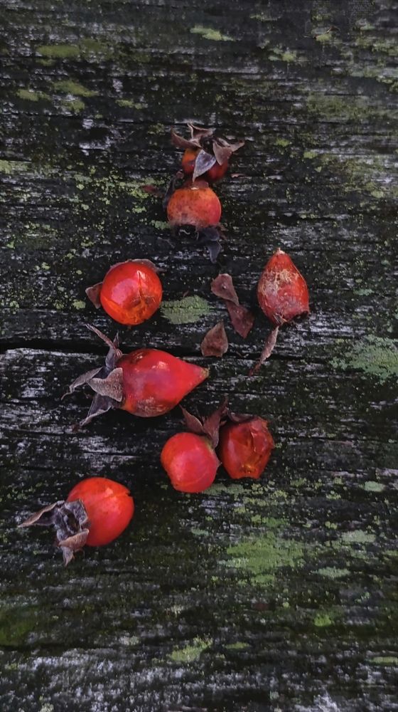 Фотография автора Юлия