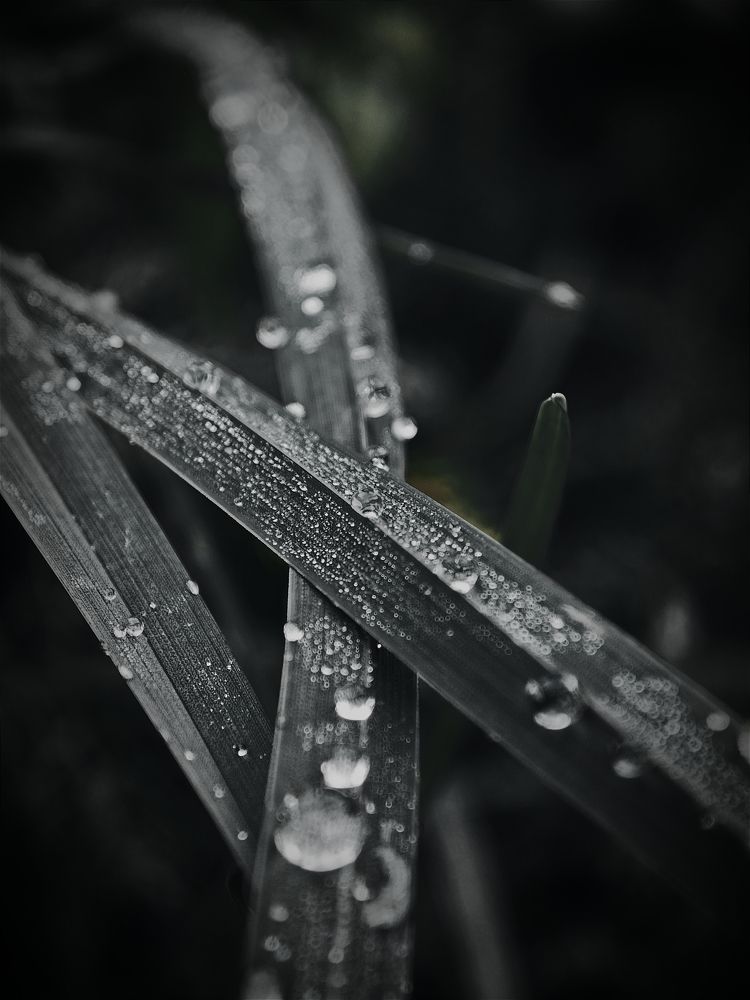 Photograph by Алексей Климов