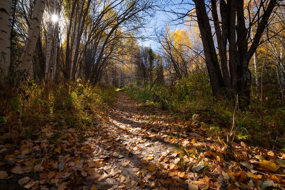 Photograph by Василий Снигирь