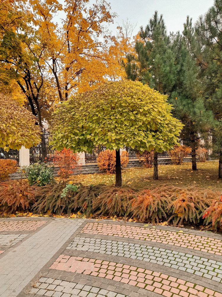 Photograph by Виктория Дудкина