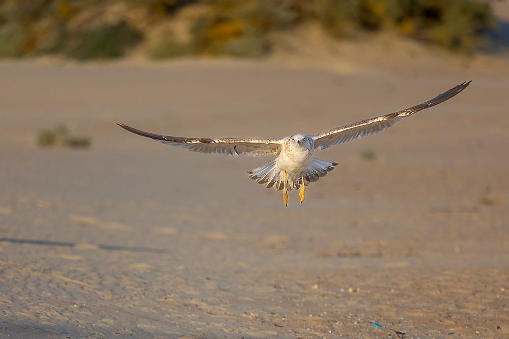 Photograph by Natalia Antipas