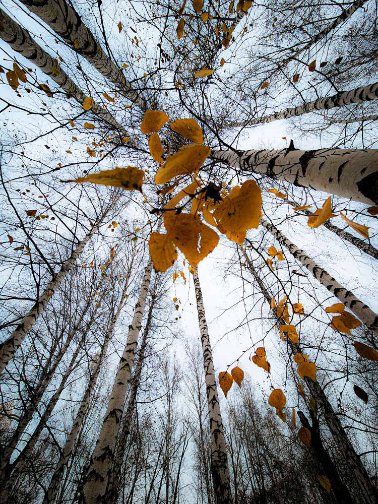 Photograph by Сергей Кесаев