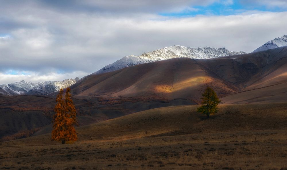 Photograph by Чичкин Валерий