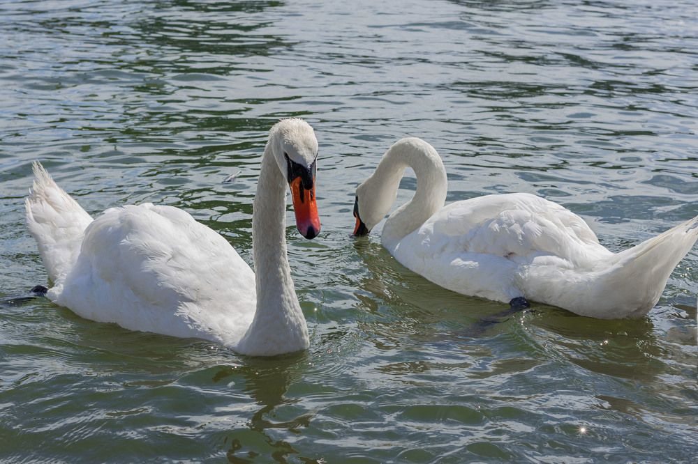 Photograph by Zhdanova Maria